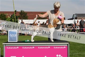 130370_se_02_IMG_6451.JPG