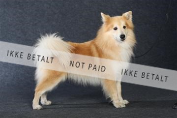 132082_le_ 01_IMG_1040.JPG