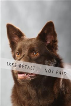 129608_le_ 01_0951.JPG