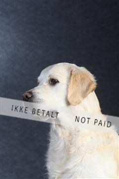 132082_le_ 01_IMG_0317.JPG