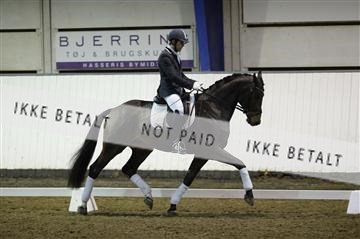 141472_abo_01__AB14979.JPG
