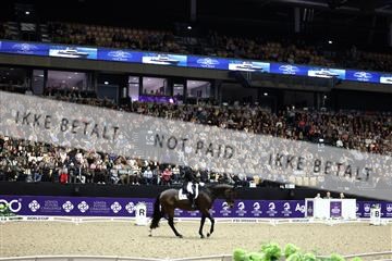 182194_avh_07_4194.JPG