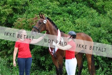 181756_mtp_01_R62_1798.JPG