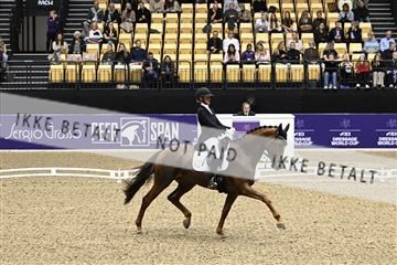 182194_kbb_03_Z091149.JPG
