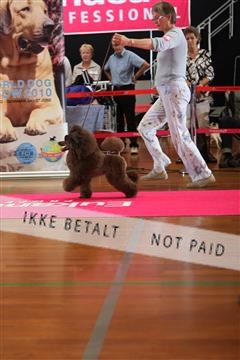 6068_ma_05_IMG_5741.JPG