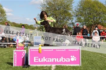 134871_ms_01_IMG_4007.JPG