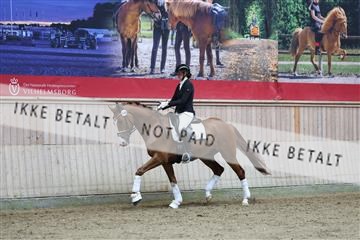 181887_mtp_02_R62_7791.JPG