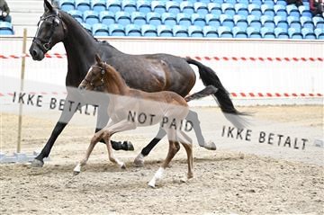 181754_kbb_01_Z092854.JPG