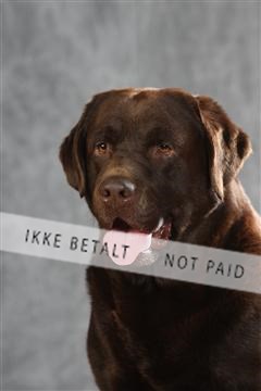 130054_le_ 01_0386.JPG