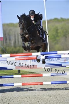 139644_abo_02__AB14641.JPG