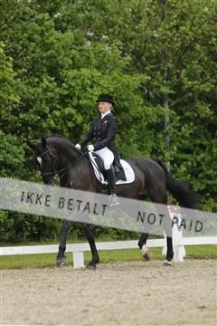 139835_sg_03_IMG_9133.JPG