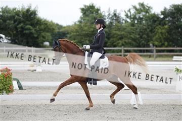 166078_rhj_01__J7R4595.JPG