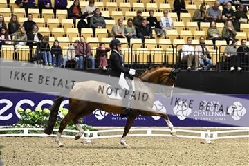182194_kbb_03_Z090232.JPG