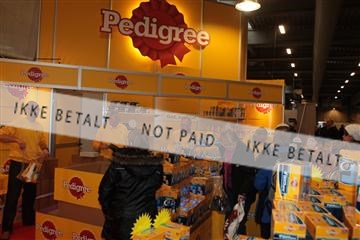 126827_le_07_img_0022.JPG