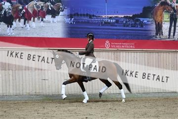 181887_mtp_02_R62_7852.JPG