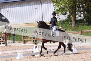 181449_bc_01R62_5527.JPG