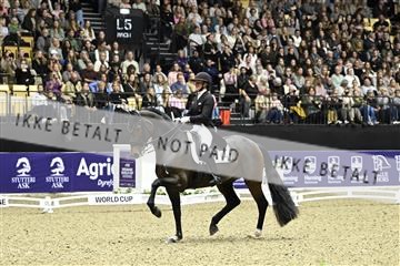182194_kbb_03_Z092433.JPG