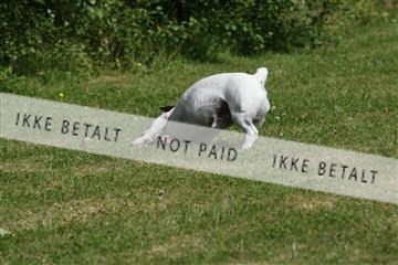 130370_se_02_IMG_6174.JPG