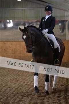 139206_kl_1_8M1Q5113.JPG