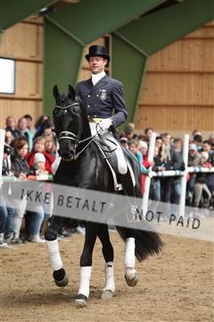 139265_kl_1_8M1Q6136.JPG