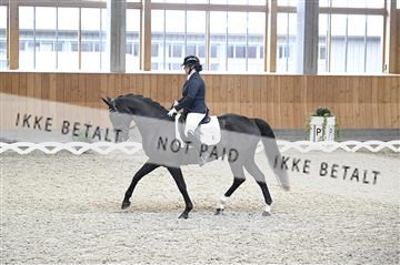 182176_kbb_01_Z093438.JPG
