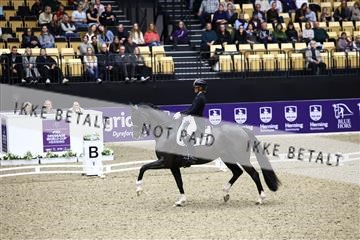 182194_avh_05_2704.JPG