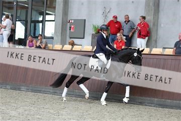 181852_mtp_05_R62_3343.JPG