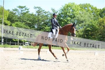 168732_mtp_01_3M5A7764.JPG