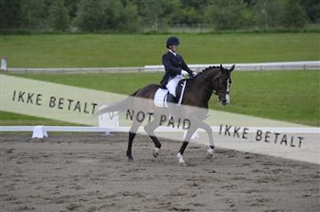 140040_abo_01__AB17574.JPG