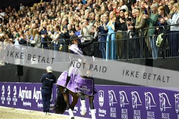 182194_avh_07_4678.JPG