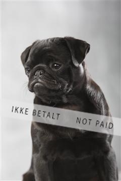 129608_le_ 01_0163.JPG