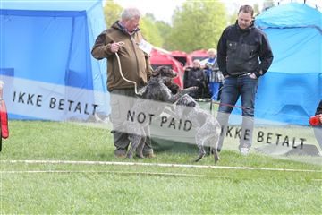 134871_ms_04_IMG_9863.JPG