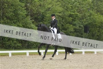139835_sg_02_IMG_8823.JPG