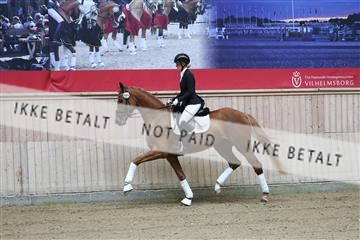 181887_mtp_04_R62_8173.JPG