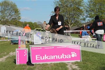 134871_ms_03_IMG_0341.JPG