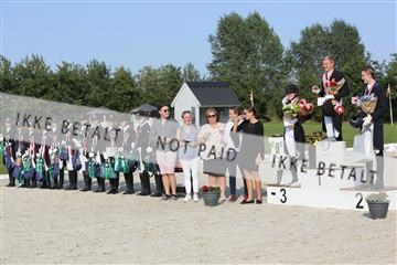 163526_mlm_02_IMG_3062.JPG