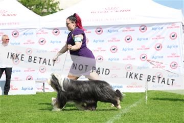 181564_rin_01_R62_9361.JPG