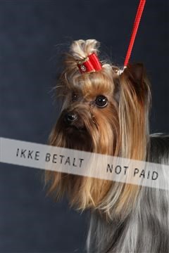 132082_le_ 01_IMG_0375.JPG