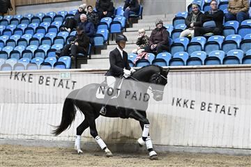 182241_kbb_01_Z094132.JPG