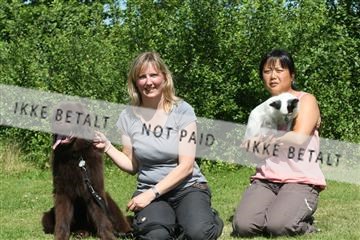 130370_se_03_IMG_7153.JPG