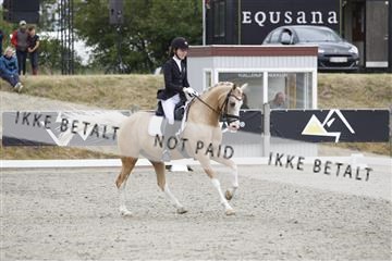 166078_rhj_01__J7R2851.JPG