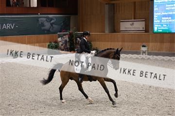 182176_mlm_01R62_9434.JPG