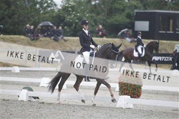 166078_rhj_01__J7R4166.JPG