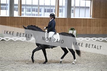 182176_kbb_01_Z093425.JPG