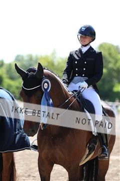 168732_mtp_01_3M5A7241.JPG
