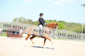 168732_mtp_01_3M5A8084.JPG