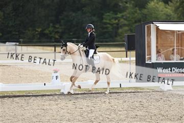 181894_mtp_02_R62_2060.JPG