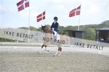 169624_kbb_01__KBB8608.JPG
