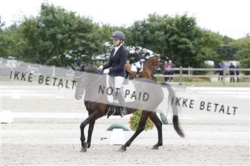 166078_rhj_01__J7R2257.JPG