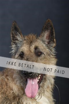 132082_le_ 01_IMG_0906.JPG